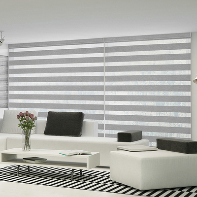 Blackout Intelligent Control gemotoriseerde zebra blind met 24 uur na-verkoopservice