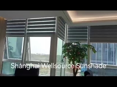 Zebra blinds scène video